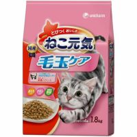猫フード | セキチュードットコム