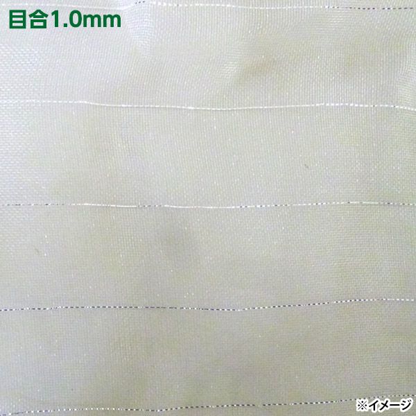 4582193312116_1.jpg