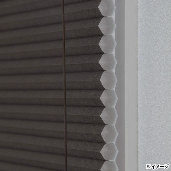 4903220963123_1.jpg