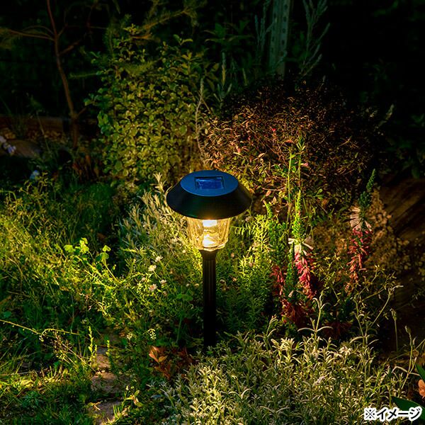 4975149798759_2.jpg