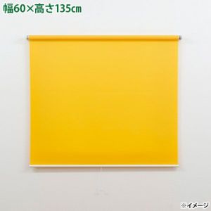 4903220929525.jpg