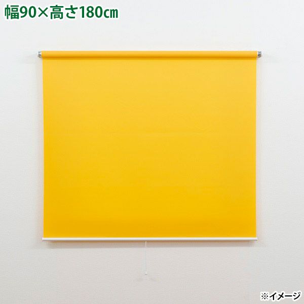 4903220929570.jpg