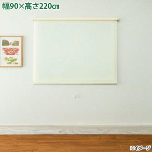4903220938060.jpg