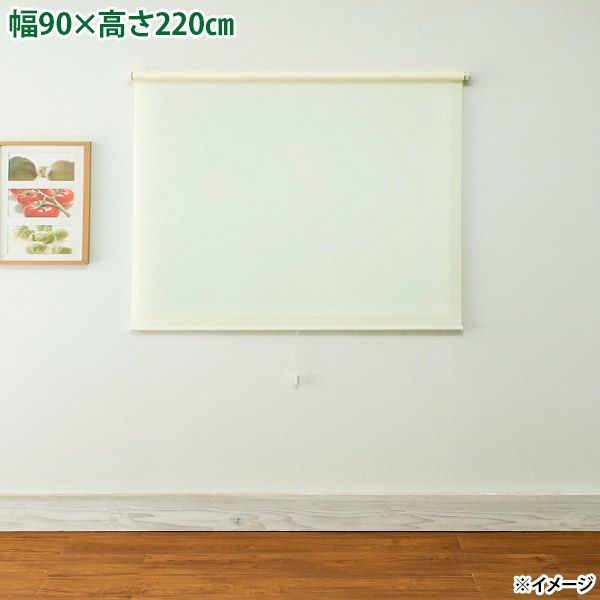4903220938060.jpg
