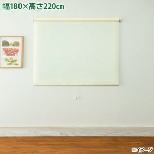 4903220938121.jpg