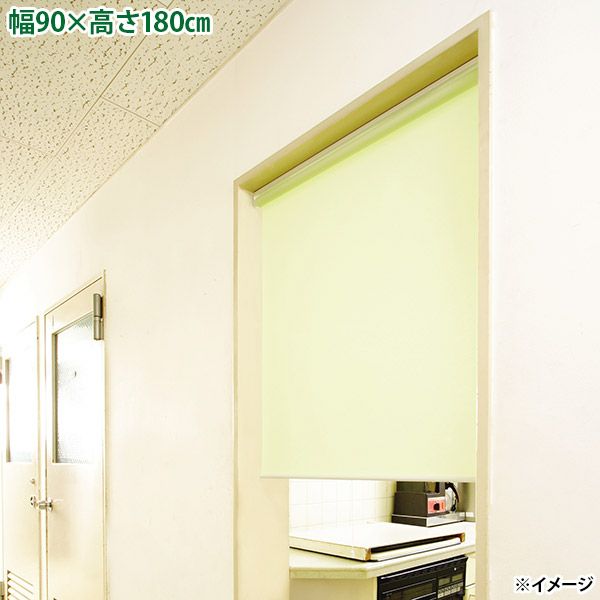 4903220921956.jpg