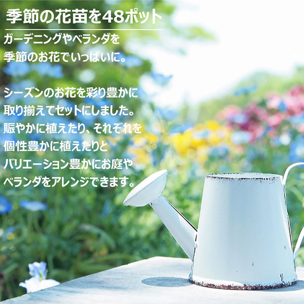 4547795219850_1.jpg