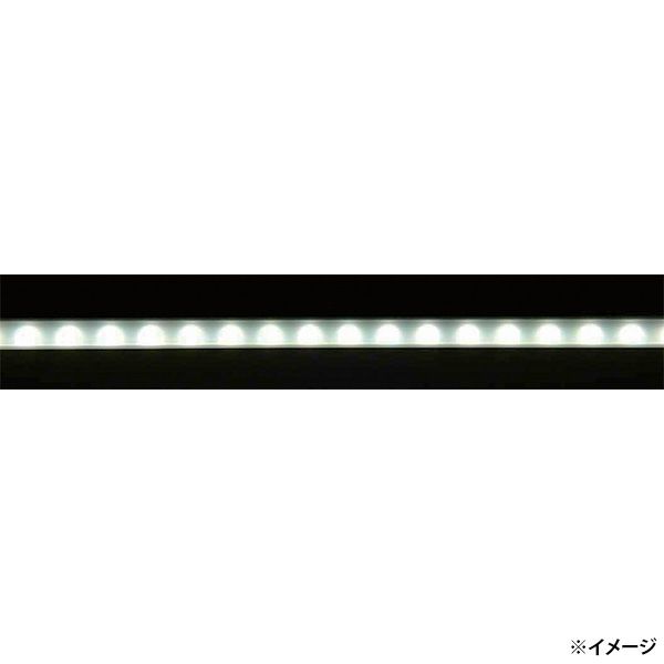 4549813510529_2.jpg