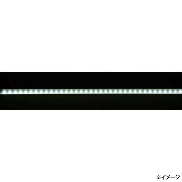 4549813510543_2.jpg